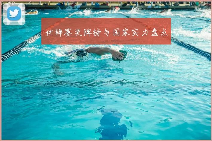 世锦赛奖牌榜与国家实力盘点